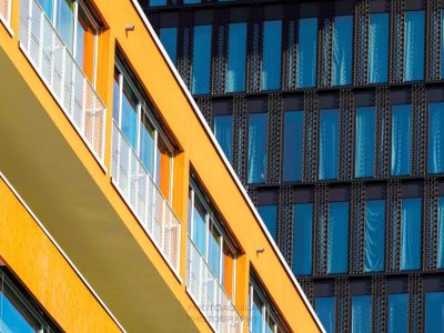 Erfahrungsbericht: Der BVSC auf der BIM World München 2025