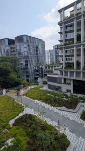 Christopher Liebau, Gründer und Geschäftsführer der Plances GmbH, nahm an der vom Bundesministerium für Wirtschaft und Energie organisierten Innovationsdelegation nach Singapur teil, deren Fachpartner der BVSC war. Vor Ort gewann er eindrucksvolle Einblicke in eine Stadt, die SmartCity konsequent als Zusammenspiel von Datenstrukturen, offenen Plattformen, IoT, Mobilität, Energie, Wasser und Stadtgrün versteht. Besonders prägend war für ihn, wie schnell Singapur funktionierende Lösungen skaliert und Begrünung als festen Bestandteil urbaner Zukunft einsetzt.